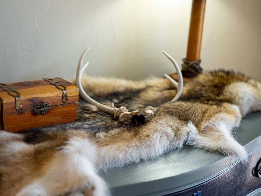 Stonegate Lodge Bear'S Den Kitchen, Pool, Firepit, Wifi ,Smart Tvs Eureka Springs Exteriör bild