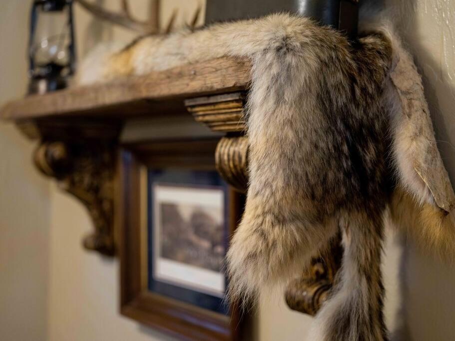 Stonegate Lodge Bear'S Den Kitchen, Pool, Firepit, Wifi ,Smart Tvs Eureka Springs Exteriör bild